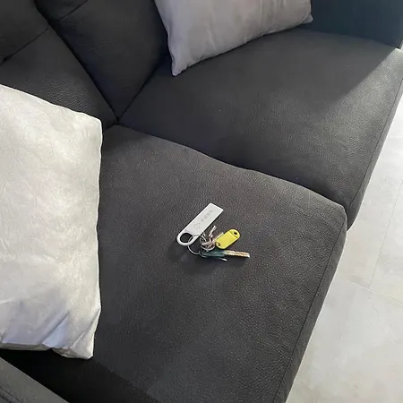 Apartment Domus Carola